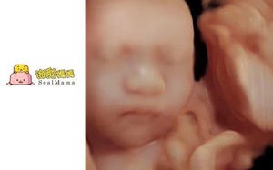 五彩彩超的孕婴摄影